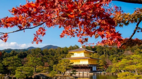 Nhật Bản - Hàn Quốc vào mùa lá đỏ rực rỡ, du khách Việt háo hức lên đường “săn thu”