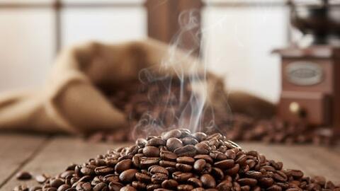 Giá cà phê hôm nay 6/12/2025: Đà phục hồi lan rộng trong và ngoài nước