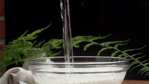 Không ai muốn lãng phí nước vo gạo khi biết 10 công dụng này