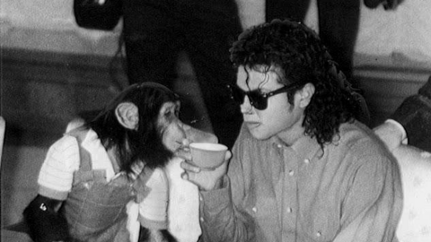 Con tinh tinh có cuộc đời xa hoa nhất thế giới, từng theo Michael Jackson tiệc tùng thâu đêm, hiện tại khiến ai cũng sững sờ