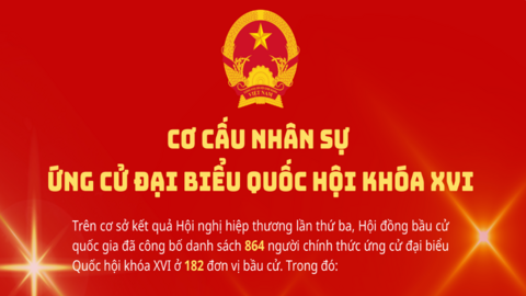 Cơ cấu nhân sự ứng cử đại biểu Quốc hội khóa XVI