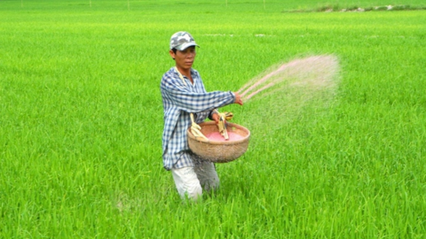 Bộ Tài chính lý giải việc duy trì thuế xuất khẩu 5% đối với phân bón urea, supe lân