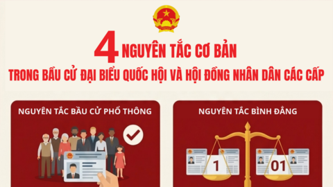 Bảo đảm dân chủ, minh bạch với 4 nguyên tắc cơ bản trong bầu cử