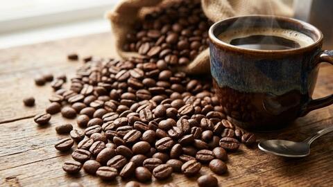 Giá cà phê hôm nay 11/3: Tây Nguyên giữ mức cao, Arabica thế giới tăng mạnh