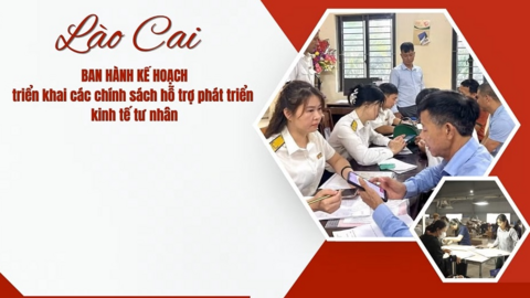 Lào Cai triển khai nhiều chính sách hỗ trợ phát triển kinh tế tư nhân