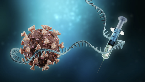 Cuộc đua tạo vaccine “đa năng” chống nhiều loại virus cùng lúc