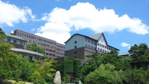 Du học sinh Hàn Quốc dùng bằng giả