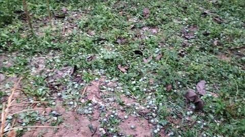 Mưa đá khiến 4 người bị thương, ước tính thiệt hại trên 30 tỷ đồng ở Lào Cai