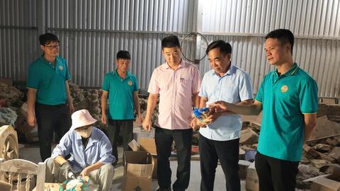 Nông dân xã Thường Tín thúc đẩy phát triển kinh tế thông qua nguồn vốn vay ưu đãi