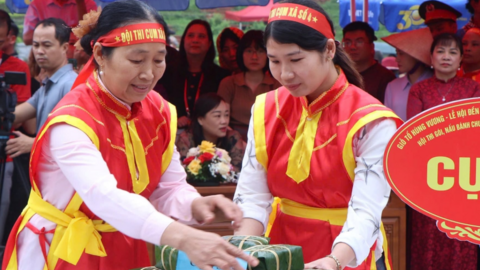Sôi nổi Hội thi gói, nấu bánh chưng, giã bánh giầy dâng Vua Hùng năm 2026