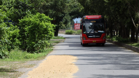 Ninh Bình: Chấn chỉnh tình trạng đốt rơm rạ, phơi nông sản chiếm lòng đường