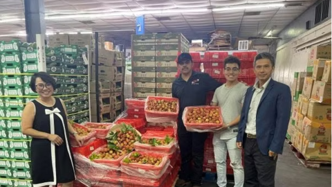 Vải thiều tươi đầu vụ của Việt Nam chinh phục thị trường Hoa Kỳ