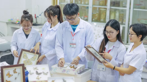 Chính sách hỗ trợ sinh viên sư phạm