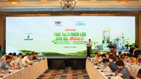 Phát triển nhiên liệu sinh học: Động lực cho chuyển dịch năng lượng xanh và tăng trưởng bền vững