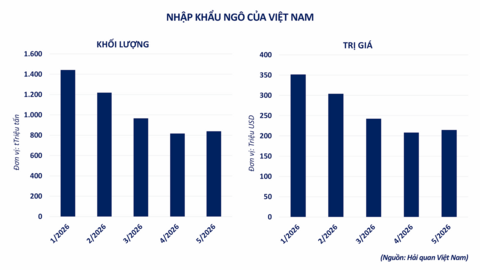 Giá bạc lao dốc hơn 6%, MXV-Index mất hơn 1,5%