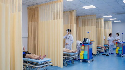 Kịp thời xử trí 8 ca bị ong vò vẽ đốt, bác sĩ khuyến cáo không chủ quan