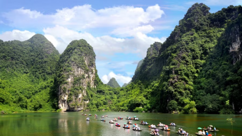 Profile Đất nước của tôi: Kể câu chuyện Việt Nam bằng điện ảnh