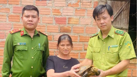 Gia Lai: Người dân tự nguyện giao nộp cá thể rùa núi vàng quý hiếm