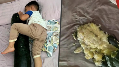 Chuyên gia Trung Quốc cảnh báo trào lưu ôm bí đao khi ngủ để giải nhiệt