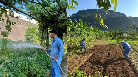Dạy nghề cho người lầm lỗi: Trao sinh kế, mở lối tái hòa nhập