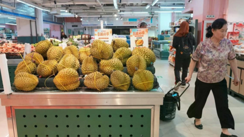 Đường sắt mở rộng, giá sầu riêng tại Trung Quốc giảm mạnh