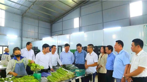 Đào tạo, chuyển giao kỹ thuật nâng sinh kế nông dân Phú Thọ