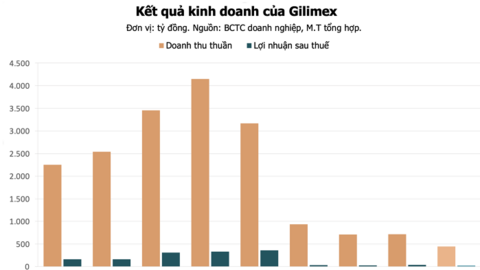 Gilimex thoát lỗ, kiểm toán ngoại trừ khoản tồn kho 800 tỷ đồng liên quan Amazon