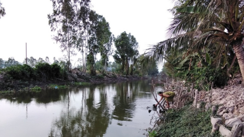 Cà Mau: Chủ động ứng phó hạn hán, xâm nhập mặn do ảnh hưởng El Nino