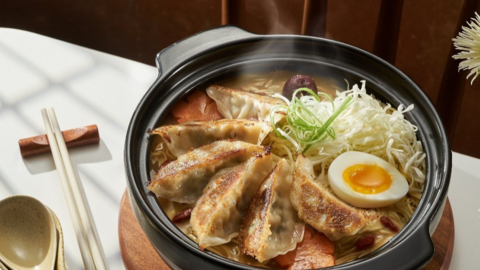 Từ hương vị Nhật đến những đóng góp cho đời sống người Việt
