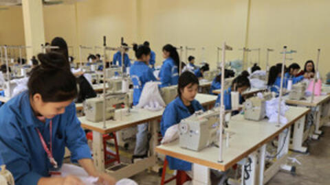 Hướng dẫn hỗ trợ đào tạo nghề cho lao động nông thôn, lao động là thanh niên