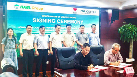 Công ty sắp niêm yết của 'bầu Đức' bắt tay đối tác Trung Quốc, có thể xuất khẩu nghìn tấn cà phê tới cuối năm