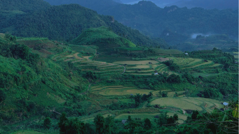 Bản người Mông dưới chân Hoàng Liên Sơn có thứ khiến du khách đổ xô lên núi, tiền tự tìm đến
