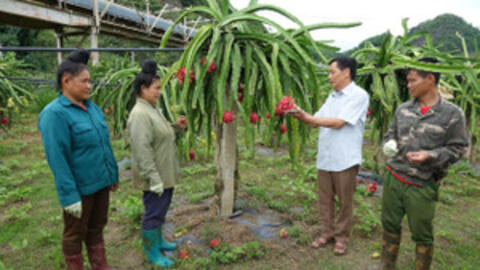 Hiệu quả từ đầu tư trường nghề ở vùng nông thôn Sơn La
