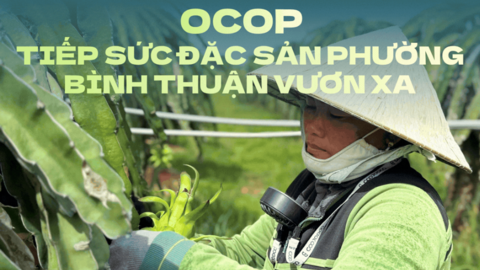 OCOP tiếp sức đặc sản phường Bình Thuận vươn xa