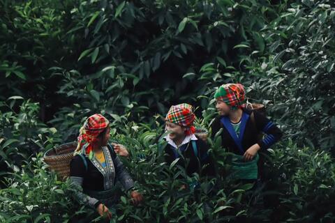 <a href="/kham-pha" title="Khám phá" rel="dofollow">Khám phá</a>