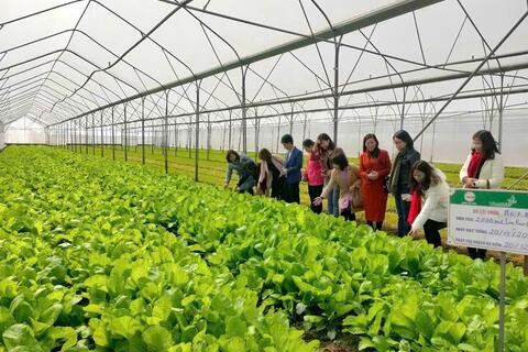 Hương Việt Sinh - 13 năm gìn giữ bữa ăn học đường ngon, an toàn, giàu dinh dưỡng