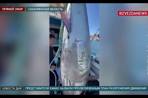 <a href="/kham-pha" title="Khám phá" rel="dofollow">Khám phá</a>