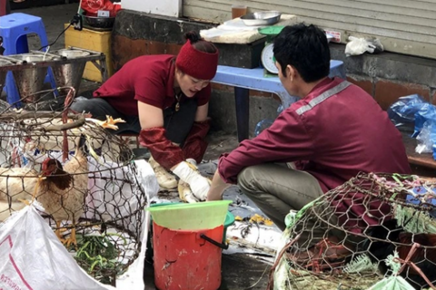 Lập danh sách, chấm dứt hoạt động cơ sở giết mổ không phép trong khu dân cư
