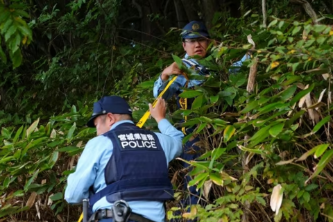 Số nạn nhân tử vong do bị gấu tấn công cao chưa từng có tại Nhật Bản
