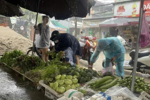 Rau xanh vẫn “đắt kinh khủng”