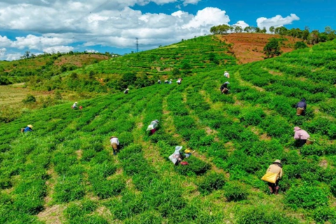 Xã Kon Plông (Quảng Ngãi): Hành trình kiến tạo điểm đến xanh giữa đại ngàn Tây Nguyên