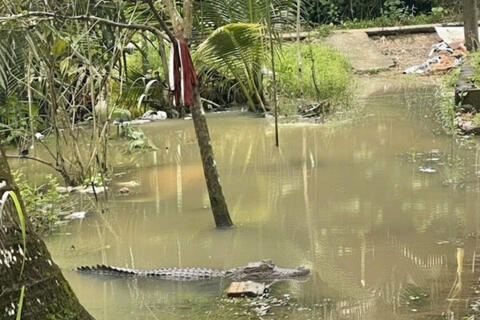 <a href="/thoi-su" title="Thời sự" rel="dofollow">Thời sự</a>