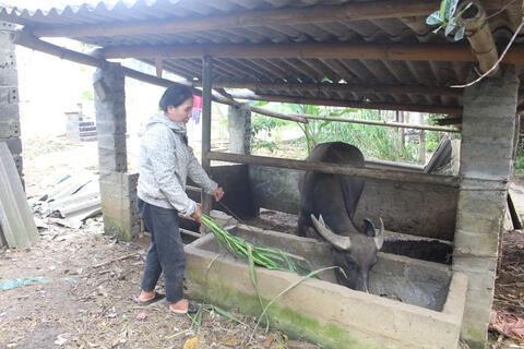 Khi người dân là chủ thể trong công cuộc giảm nghèo ở Yên Trạch