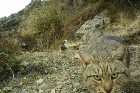 <a href="/thoi-su" title="Thời sự" rel="dofollow">Thời sự</a>