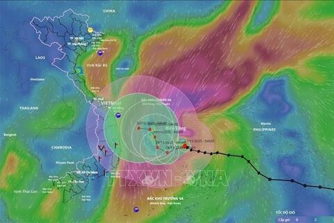 Các địa phương ven biển Lâm Đồng chủ động ứng phó với bão số 15