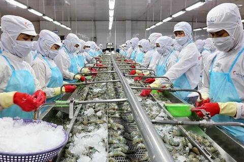 Xuất khẩu thủy sản hướng tới mốc 11 tỷ USD bất chấp nhiều sức ép