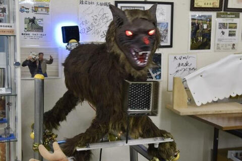 ‘Sói quái vật’ khiến gấu ‘chạy mất dép’ gây sốt toàn Nhật Bản