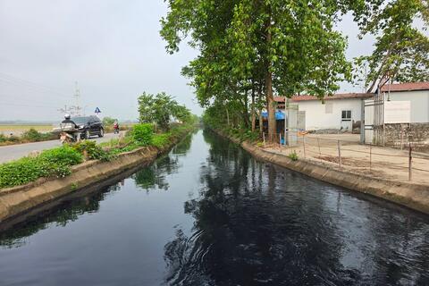 Ô nhiễm sông Đáy: Báo động nguồn nước, môi trường