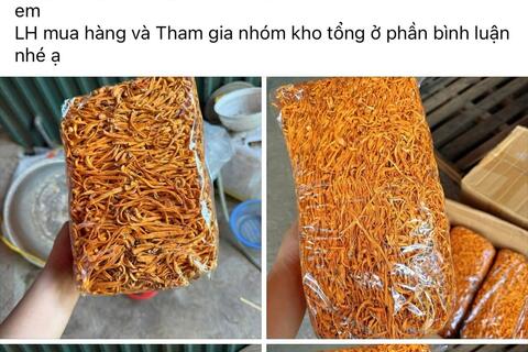 Cẩn thận với đông trùng hạ thảo giá rẻ “3 không”