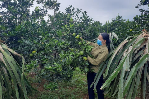 Quyết tâm xóa tình trạng 'lõm sóng' ở vùng khó, thúc đẩy chuyển đổi số giảm nghèo